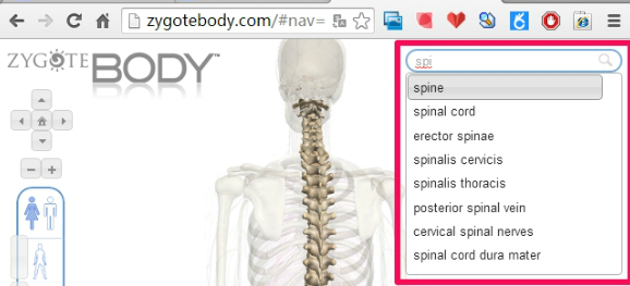 谷歌人体浏览器