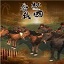 战国春秋：全面战争