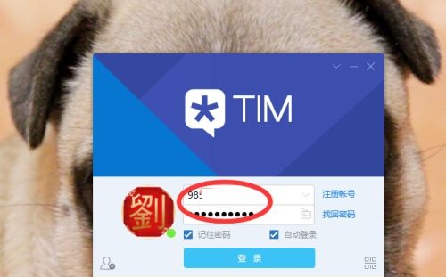腾讯TMQQ怎么用