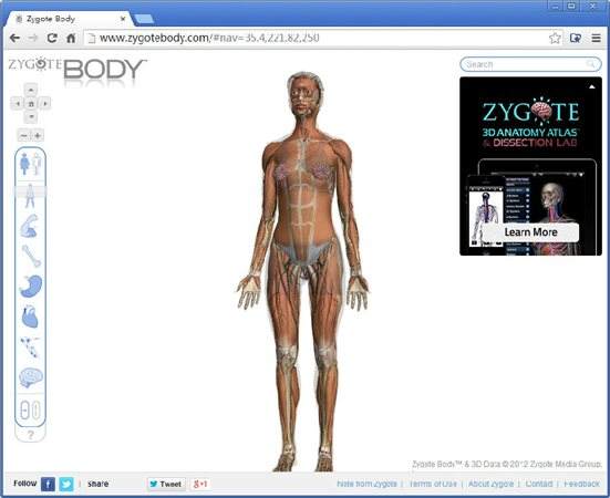 谷歌人体浏览器